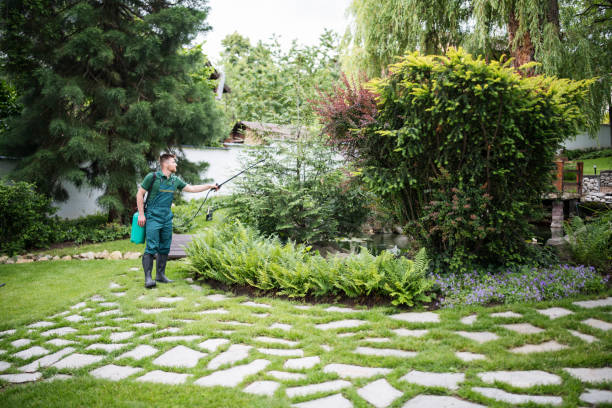 Best Residential Pest Control  in Lanark, IL