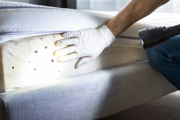 Best Affordable Pest Control Services  in Lanark, IL
