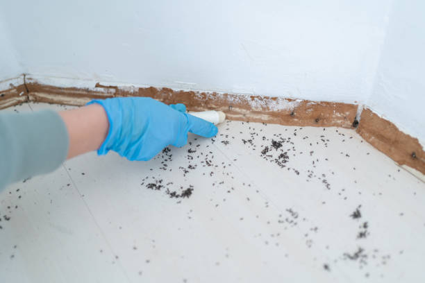 Best Affordable Pest Control Services  in Lanark, IL