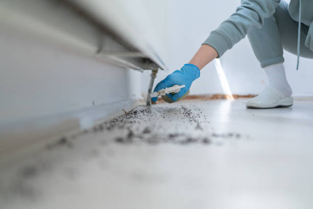 Best Cockroach Control Services  in Lanark, IL