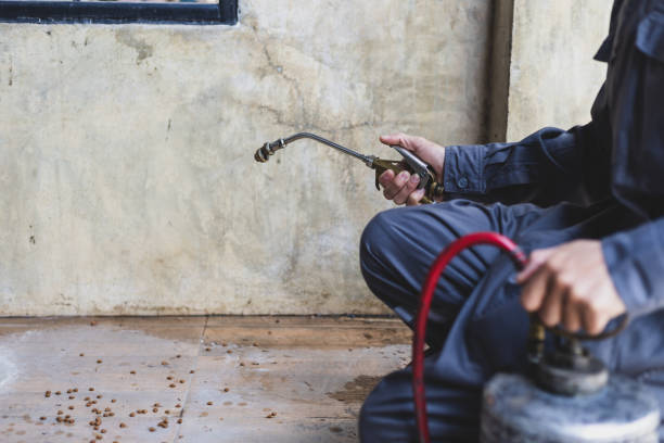 Best Rat Extermination Near Me  in Lanark, IL